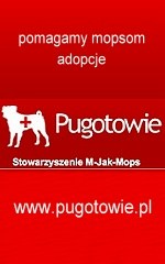 pugotowie.pl