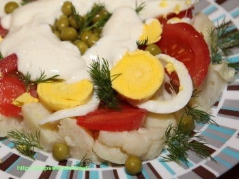 2012-04-29_salatkazkalafiorem2